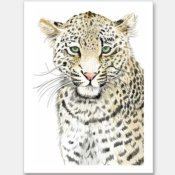 Leopard SpotsUnframed Art Print