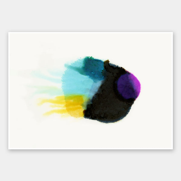 Squid Ink Unframed Art Print