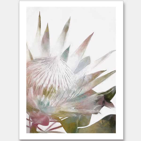 Sugar Bush I Unframed Art Print