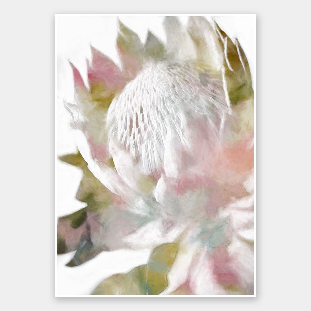 Sugar Bush II Unframed Art Print