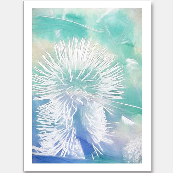 Make a Wish I Unframed Art Print