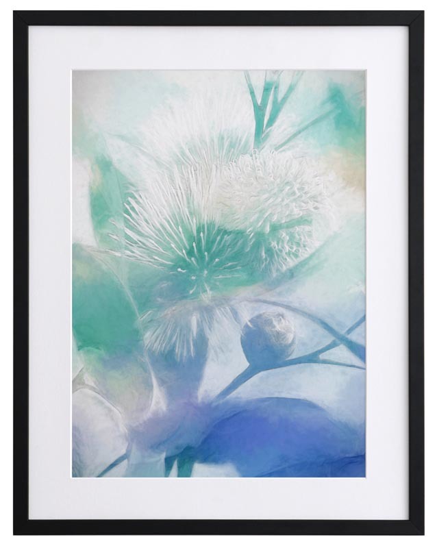 Make a Wish II Framed Art Print