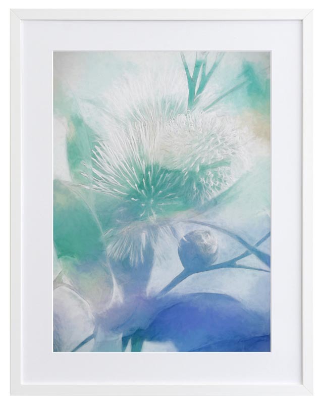 Make a Wish II Framed Art Print