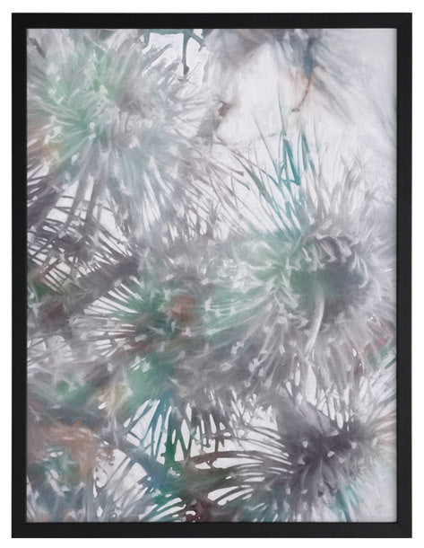 Flowering Gum I Framed Art Print