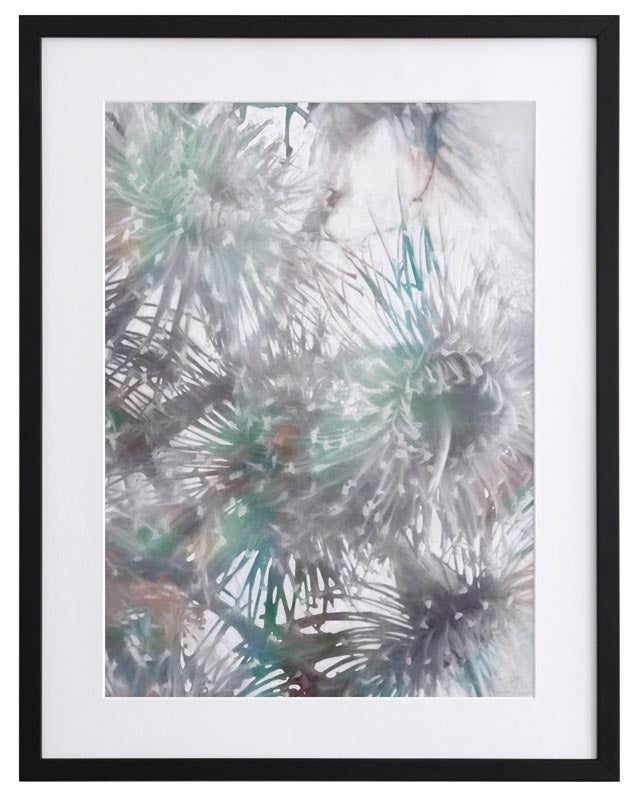 Flowering Gum I Framed Art Print