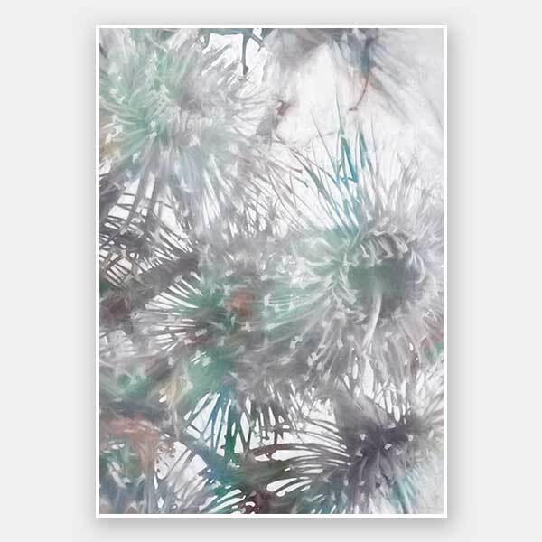 Flowering Gum I Unframed Art Print