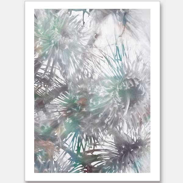 Flowering Gum I Unframed Art Print