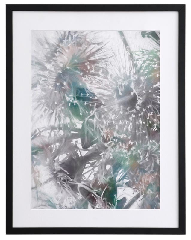 Flowering Gum II Framed Art Print