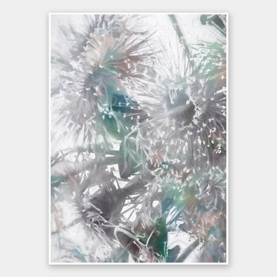 Flowering Gum II Unframed Art Print