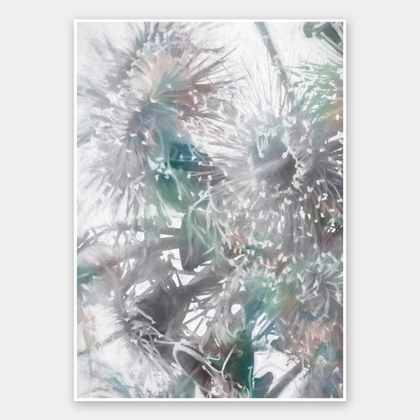 Flowering Gum II Unframed Art Print