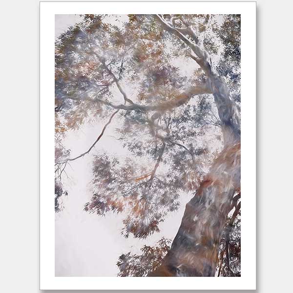 Whispering Jack I Unframed Art Print