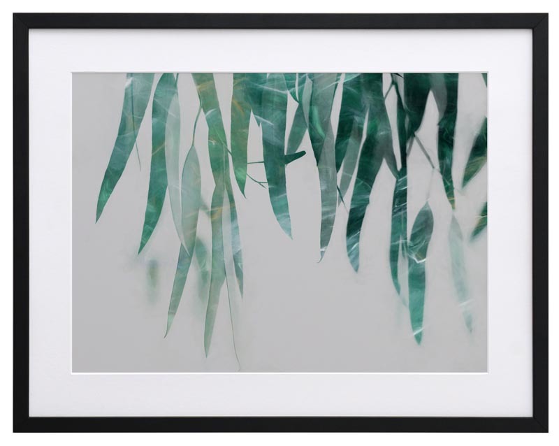 Gum Drop Framed Art Print