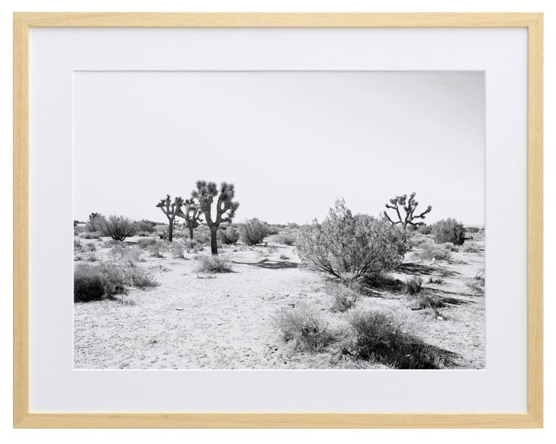 Joshua Tree Framed Art Print