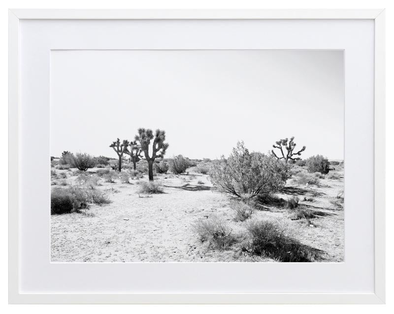 Joshua Tree Framed Art Print