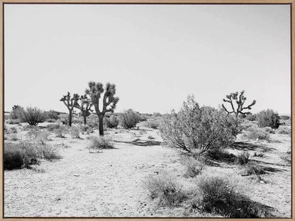 Joshua Tree Canvas Art Print