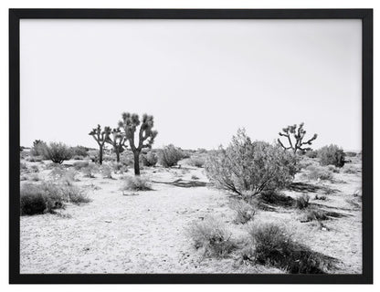 Joshua Tree Framed Art Print