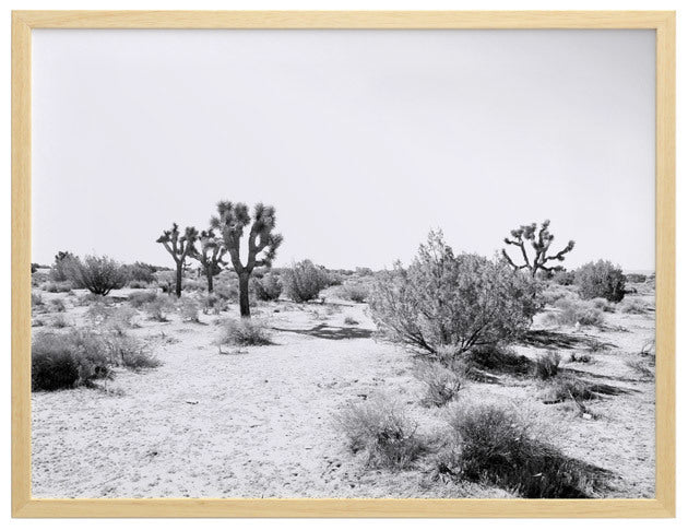 Joshua Tree Framed Art Print