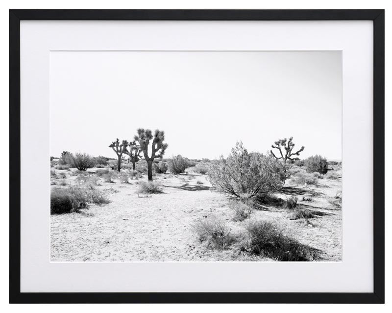 Joshua Tree Framed Art Print