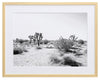 Joshua Tree Framed Art Print