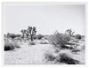 Joshua Tree Framed Art Print