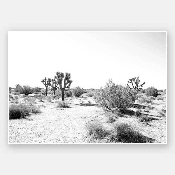 Joshua Tree Unframed Art Print