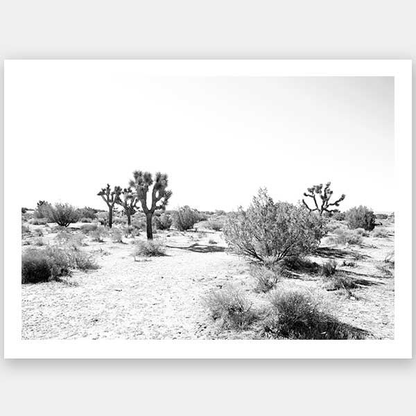 Joshua Tree Unframed Art Print