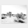 Joshua Tree Unframed Art Print