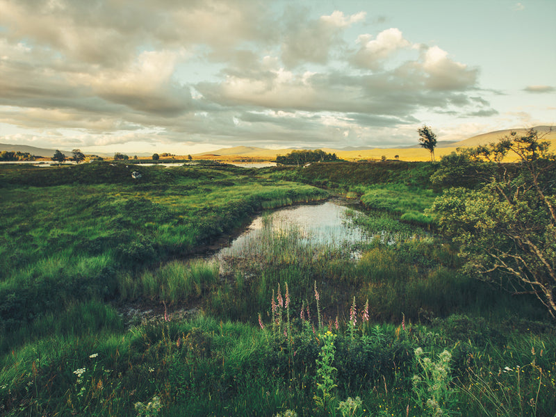 Horizon Canvas Art Print