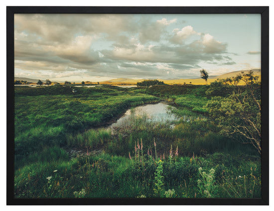 Horizon Framed Art Print