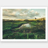 Horizon Unframed Art Print