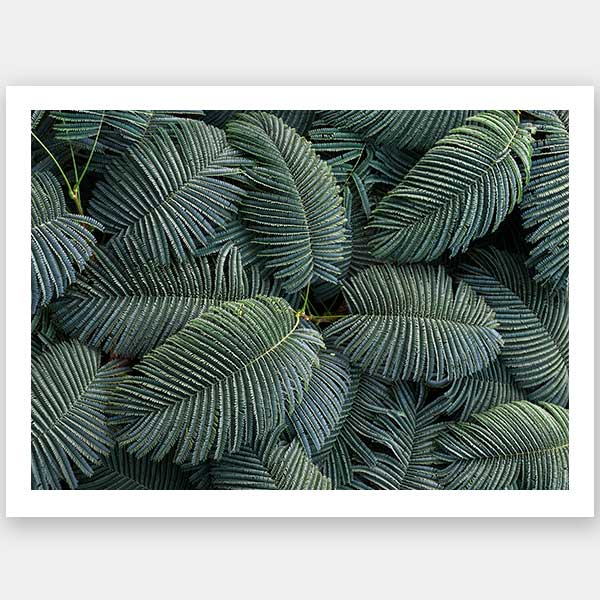 Beyond Unframed Art Print