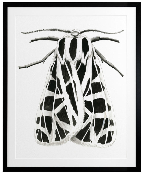 Zenneth Framed Art Print