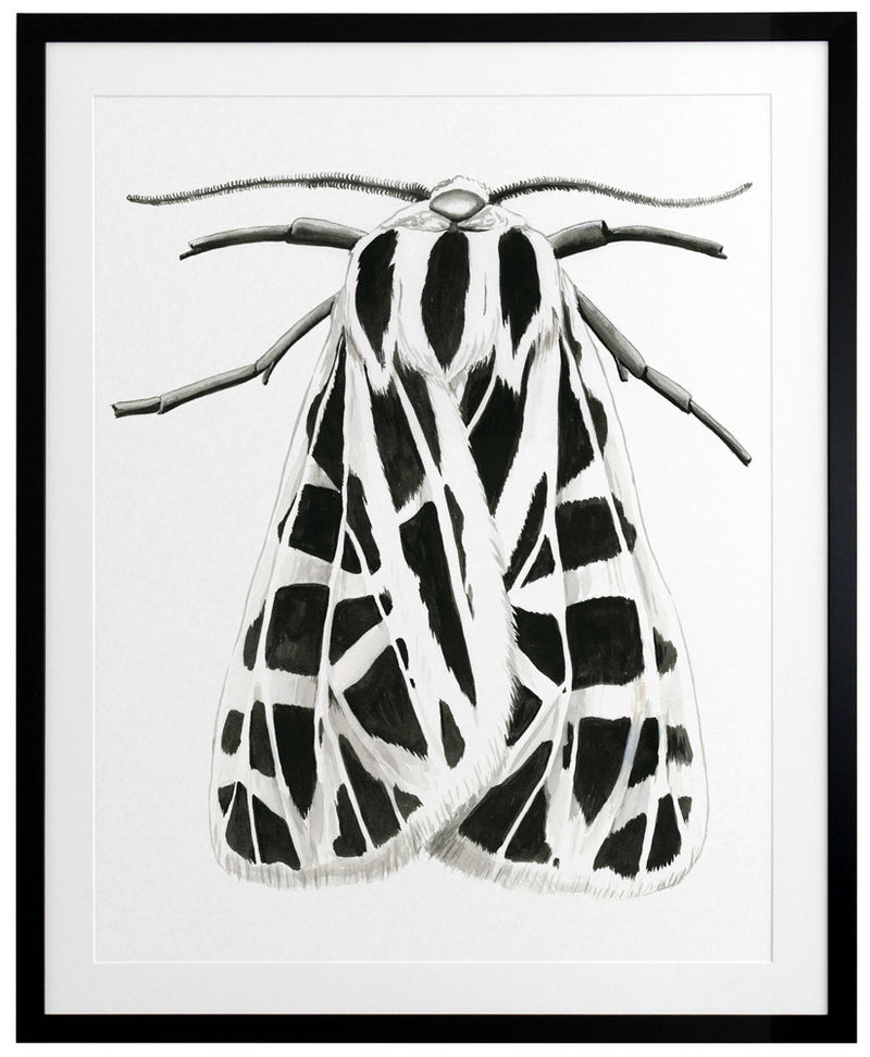 Zenneth Framed Art Print