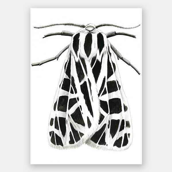 Zenneth Unframed Art Print