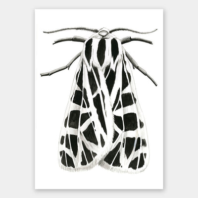 Zenneth Unframed Art Print