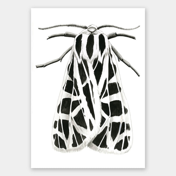 Zenneth Unframed Art Print