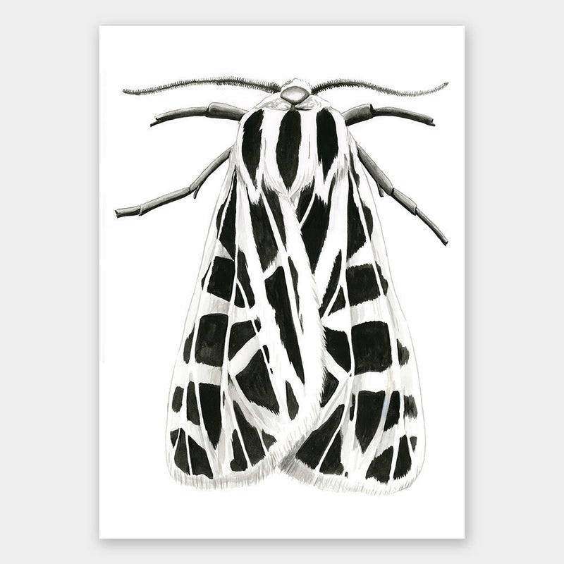 Zenneth Unframed Art Print