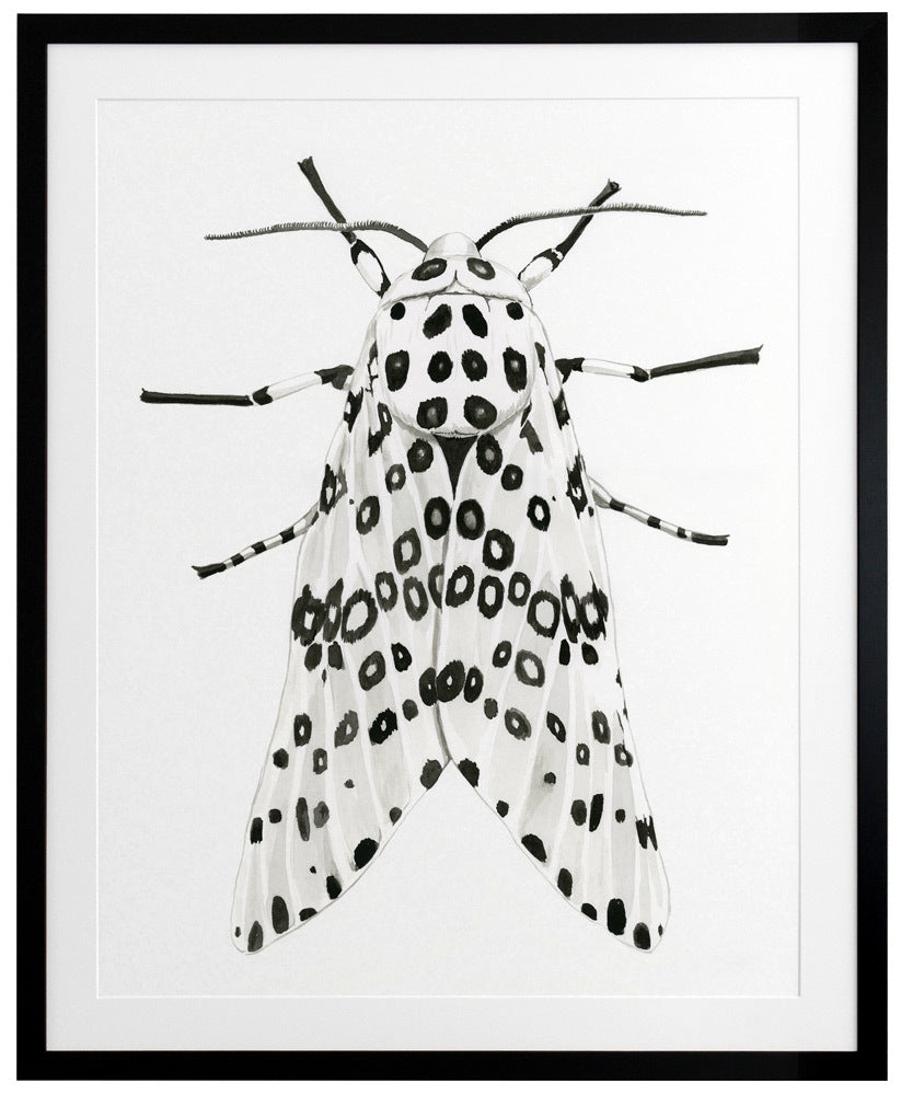 Gaston Framed Art Print