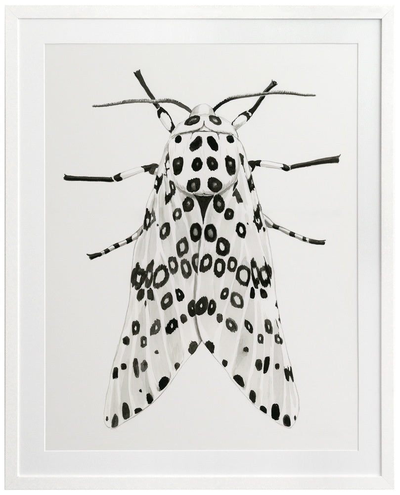 Gaston Framed Art Print