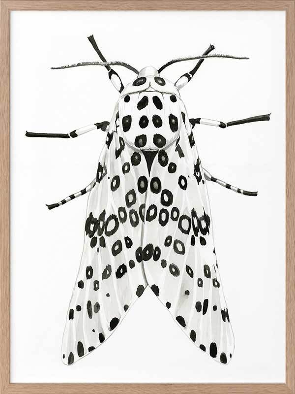 Gaston Framed Art Print