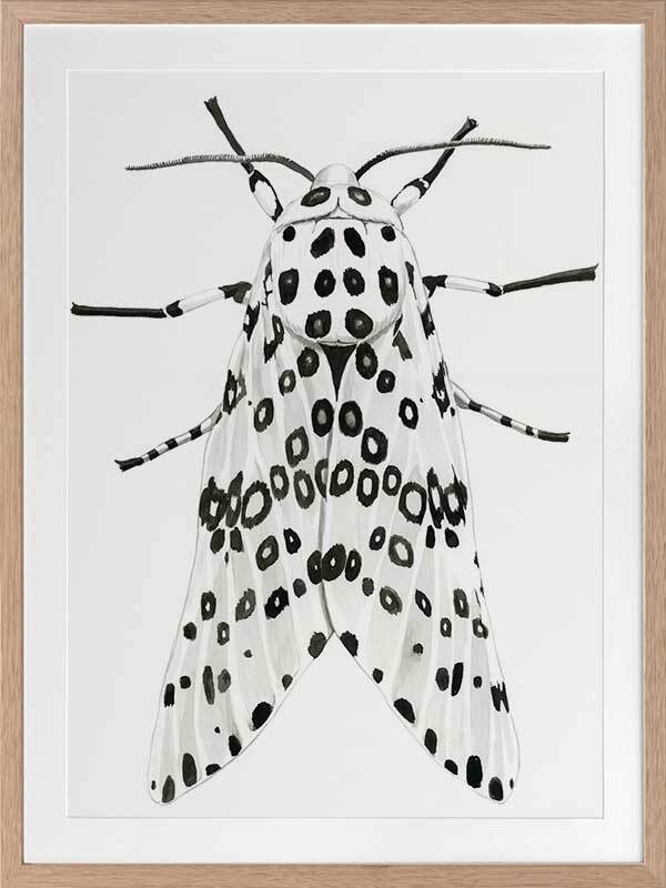 Gaston Framed Art Print