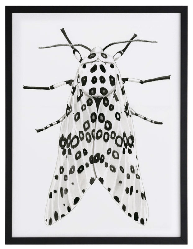 Gaston Framed Art Print