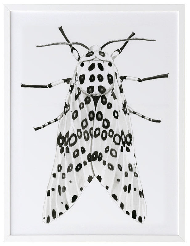 Gaston Framed Art Print