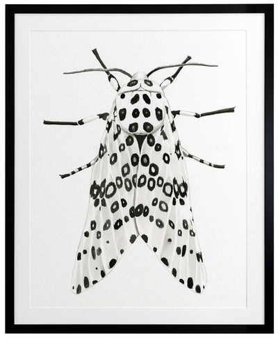 Gaston Framed Art Print