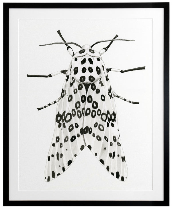 Gaston Framed Art Print