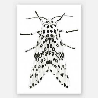 Gaston Unframed Art Print