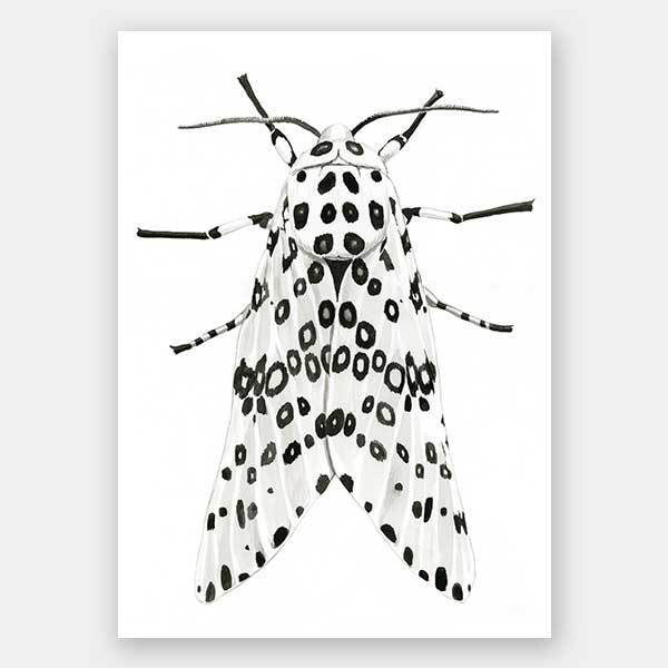 Gaston Unframed Art Print