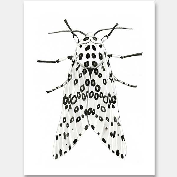 Gaston Unframed Art Print