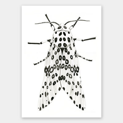 Gaston Unframed Art Print