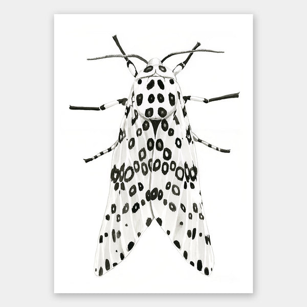 Gaston Unframed Art Print